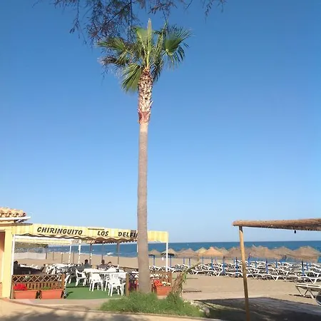 Blue Cala