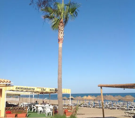 Lets In The Sun Blue Cala